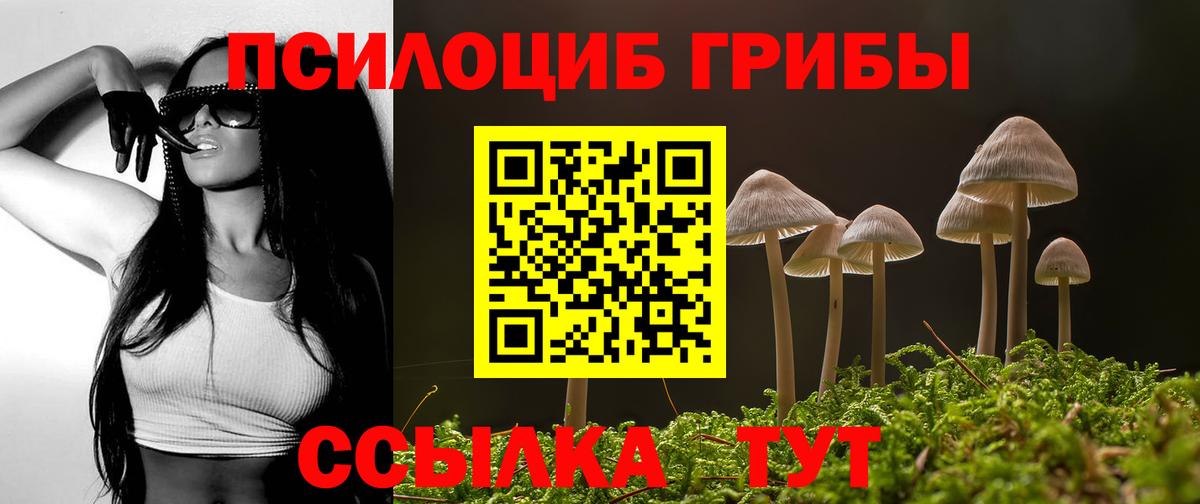 Псилоцибиновые грибы прущие грибы Тихвин